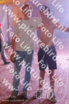 Evenement foto: Serie 2242