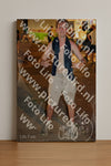 Evenement foto: Serie 2242