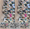 Evenement foto: Serie HL 3