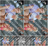 Evenement foto: Serie HL 3