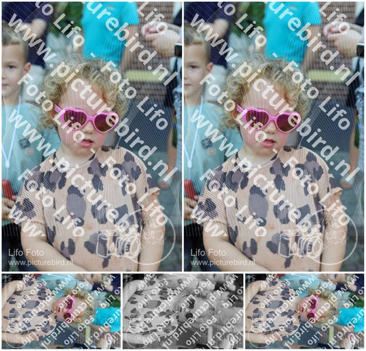 Evenement foto: Serie HL 4