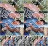 Evenement foto: Serie HL 4