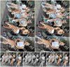 Evenement foto: Serie HL 4