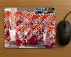 Evenement foto: Serie HL 5