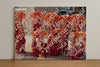 Evenement foto: Serie HL 5