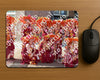 Evenement foto: Serie HL 5