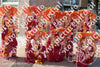 Evenement foto: Serie HL 5