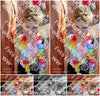 Evenement foto: Serie HL 5