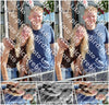 Evenement foto: Serie HL 5