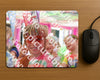 Evenement foto: Serie HL 5