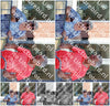 Evenement foto: Serie HL 6