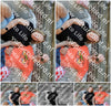 Evenement foto: Serie HL 6