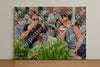 Evenement foto: Serie HL 6