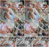 Evenement foto: Serie HL 6