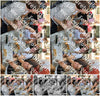 Evenement foto: Serie HL 6
