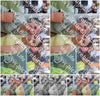 Evenement foto: Serie HL 6