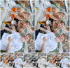 Evenement foto: Serie HL 6