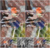 Evenement foto: Serie HL 8