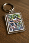 Evenement foto: Serie HL 8