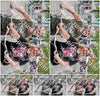 Evenement foto: Serie HL 8