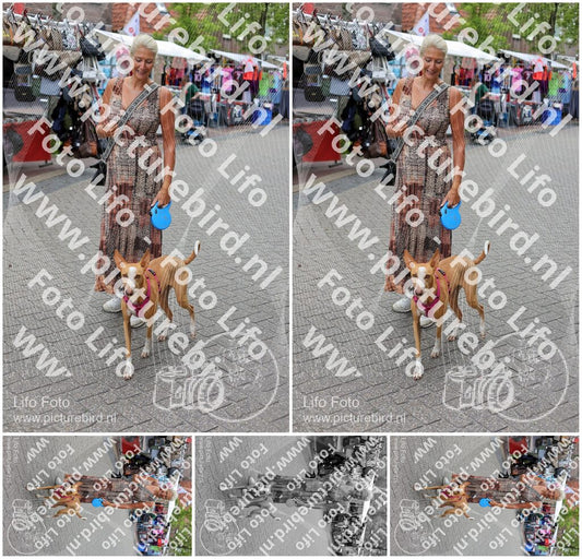Evenement foto: Serie HL 8