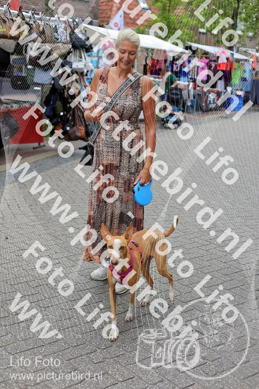 Evenement foto: Serie HL 8