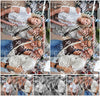 Evenement foto: Serie HL 8