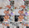 Evenement foto: Serie HL 9