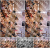 Evenement foto: Serie HL 10