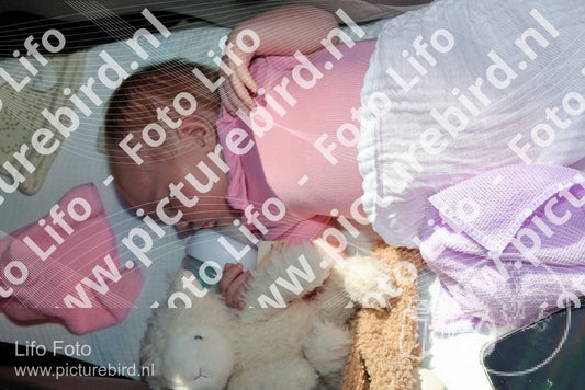 Evenement foto: Serie HL 10