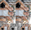 Evenement foto: Serie HL 11