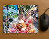 Evenement foto: Serie HL 12
