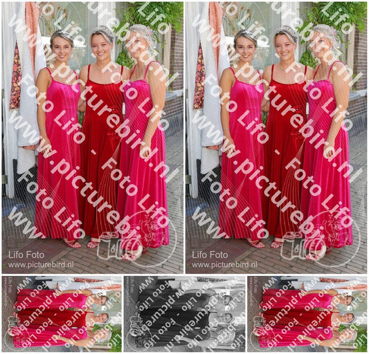 Evenement foto: Serie HL 12