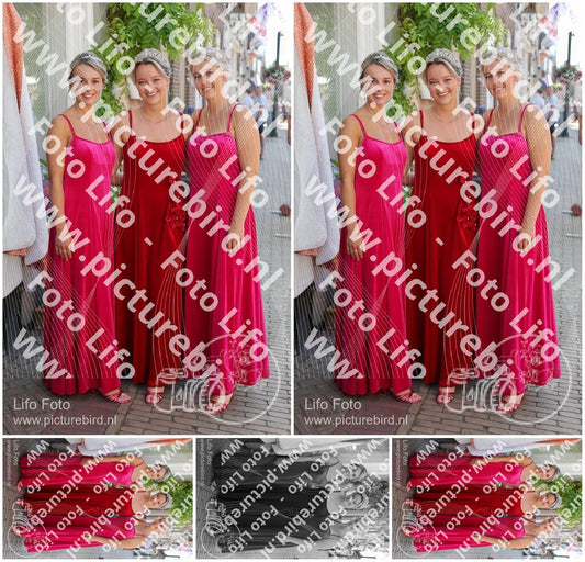 Evenement foto: Serie HL 12