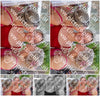 Evenement foto: Serie HL 12