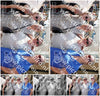 Evenement foto: Serie HL 12