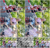 Evenement foto: Serie HL 1