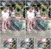 Evenement foto: Serie HL 1