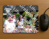 Evenement foto: Serie HL 1