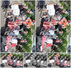 Evenement foto: Serie HL 1