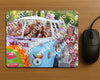 Evenement foto: Serie HL 1