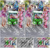 Evenement foto: Serie HL 1