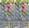 Evenement foto: Serie HL 1