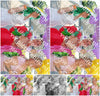 Evenement foto: Serie HL 1