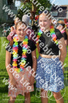 Evenement foto: Serie HL 1