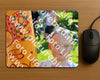 Evenement foto: Serie HL 1