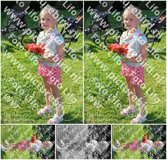 Evenement foto: Serie HL 1