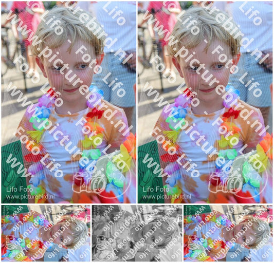 Evenement foto: Serie HL 1