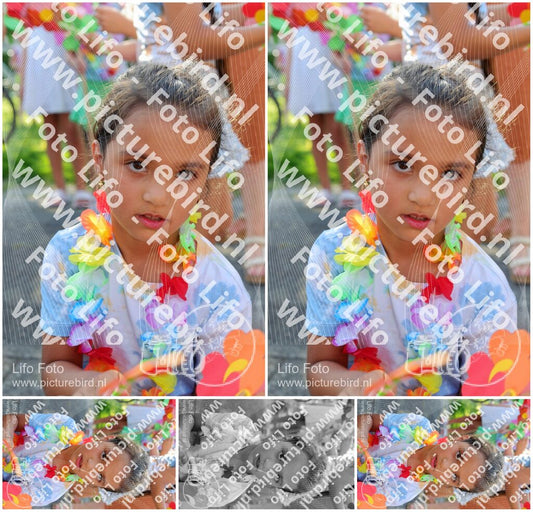 Evenement foto: Serie HL 1