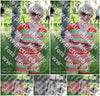 Evenement foto: Serie HL 1